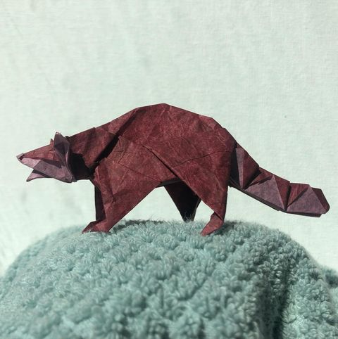 Origami